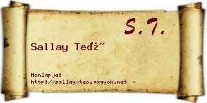 Sallay Teó névjegykártya